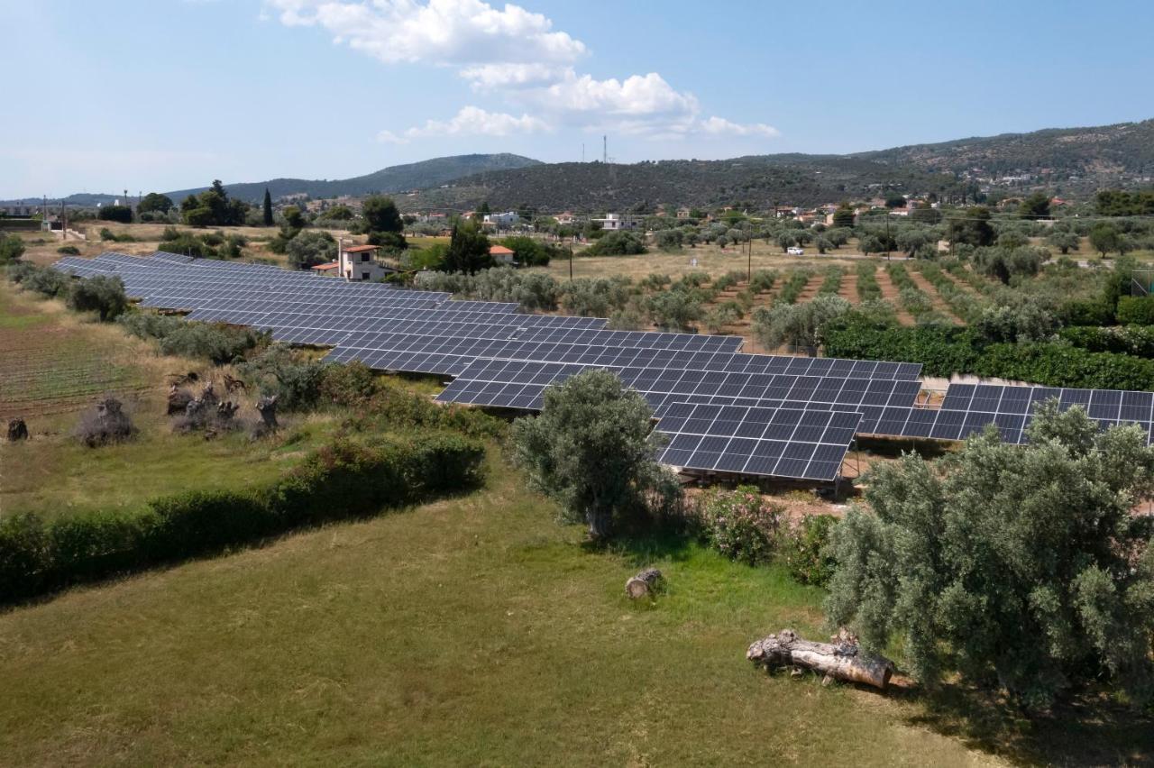 Negroponte Resort Eretria Kültér fotó