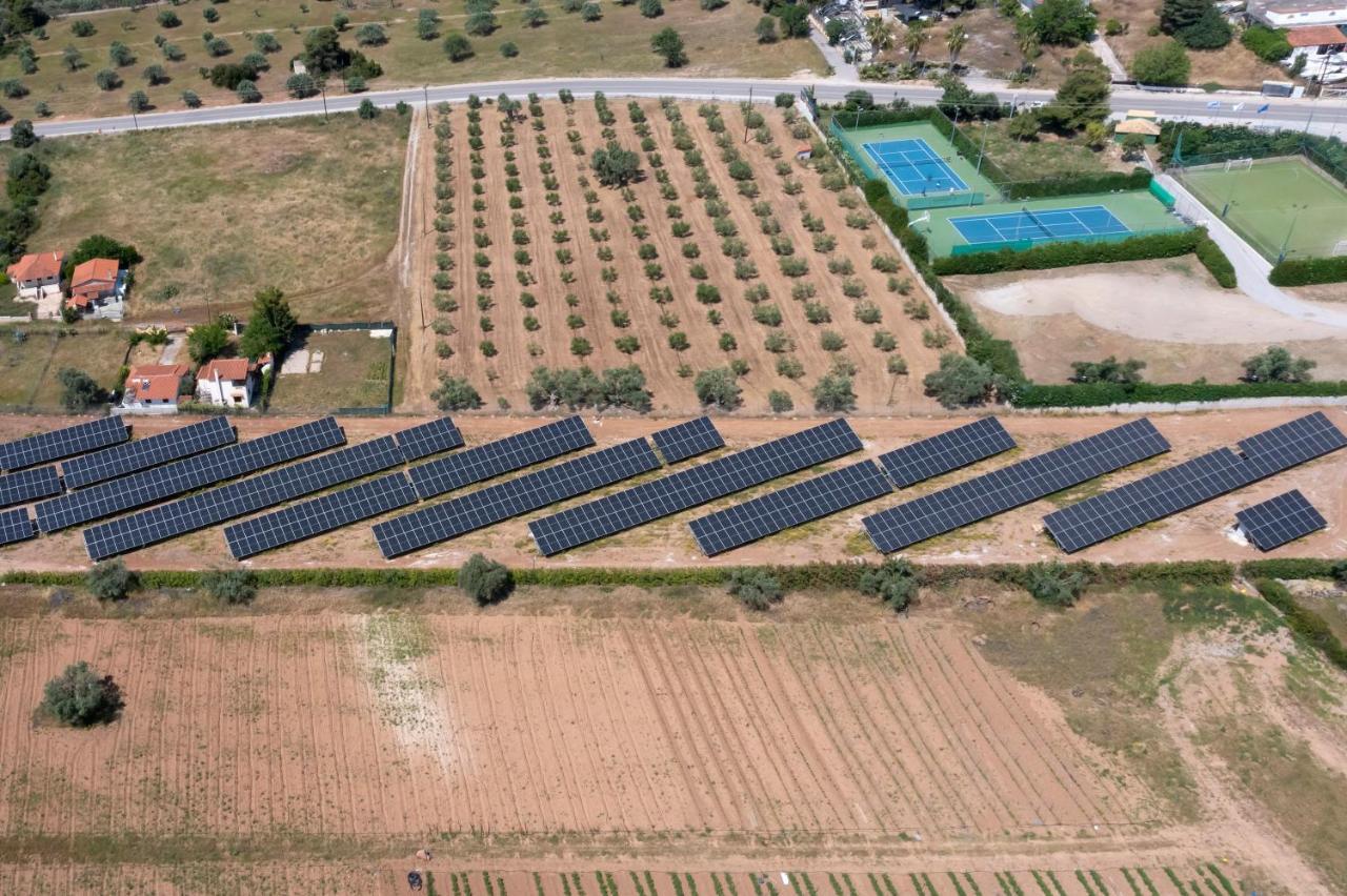 Negroponte Resort Eretria Kültér fotó